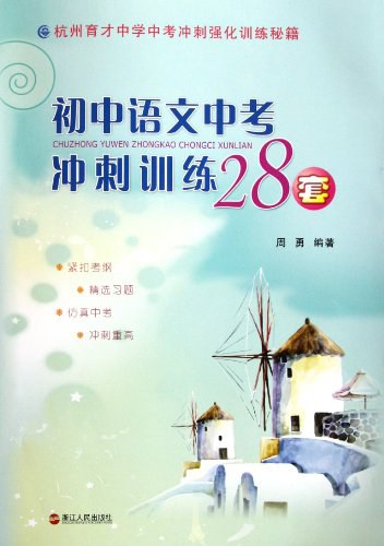 初中语文中考冲刺训练28套